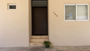 A building entrance with a brown door, a small potted plant, and a window with the number 133 on the wall.