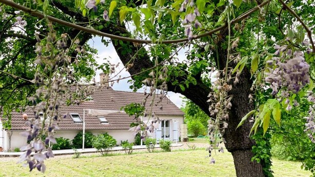 A house with a sloped roof, surrounded by a grassy lawn and a large tree with hanging purple flowers.