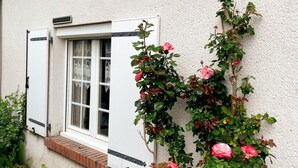 A house with a white exterior, a window with white shutters, and a climbing rose bush with pink flowers.