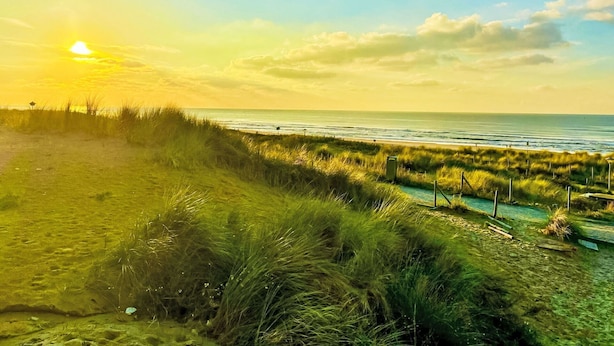 A coastal landscape with a grassy dune, a pathway leading to the beach, and a clear view of the ocean.