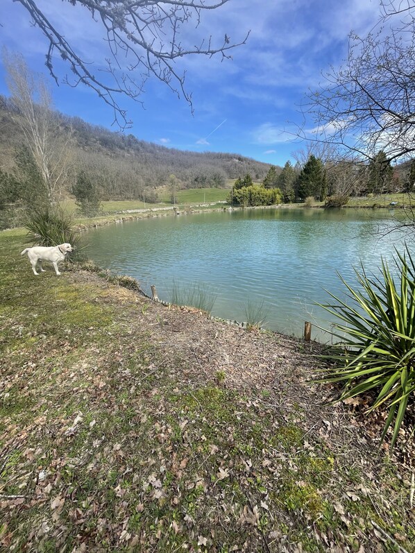 Áreas de la propiedad