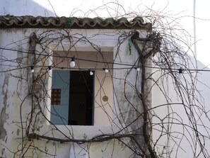 Detalle exterior