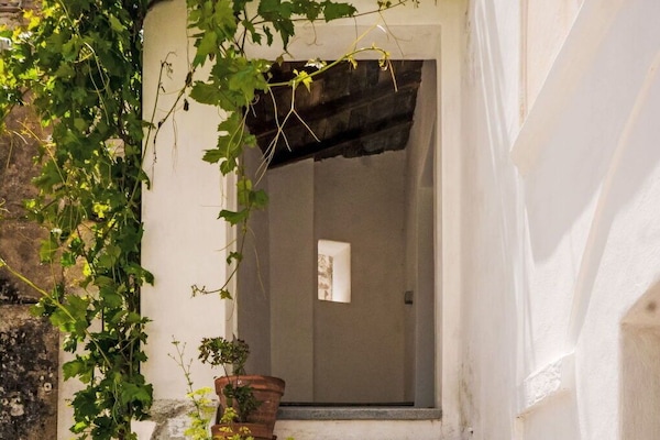 Wand, Treppe, Blumentopf, Zimmerpflanze, Geländer, Balkon