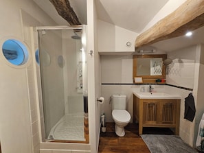 Shower, hair dryer, toilet paper