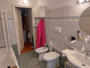 Hair dryer, bidet, towels, soap