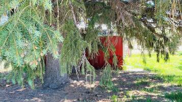 Àrea exterior de l'allotjament