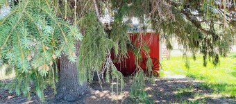 Relax175 Cottage in Big Timber