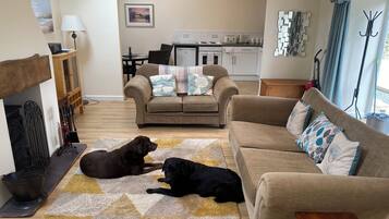 Smart-TV, Kamin, DVD-Player, Bücher