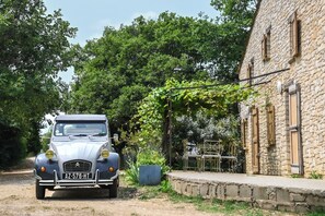 Terrein van de accommodatie