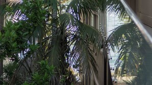 A narrow alleyway with a tall palm tree and a building with a metal awning.