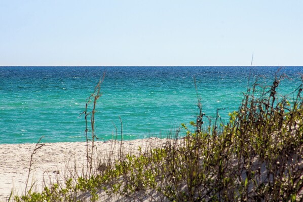 Nära stranden