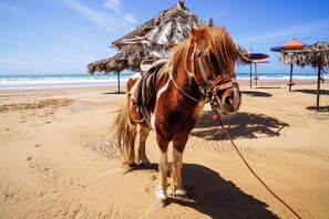 Beach - Charming Apt with Pool, Sea View & Large Terrace, in peaceful Imi Ouaddar (Imi Ouaddar)
