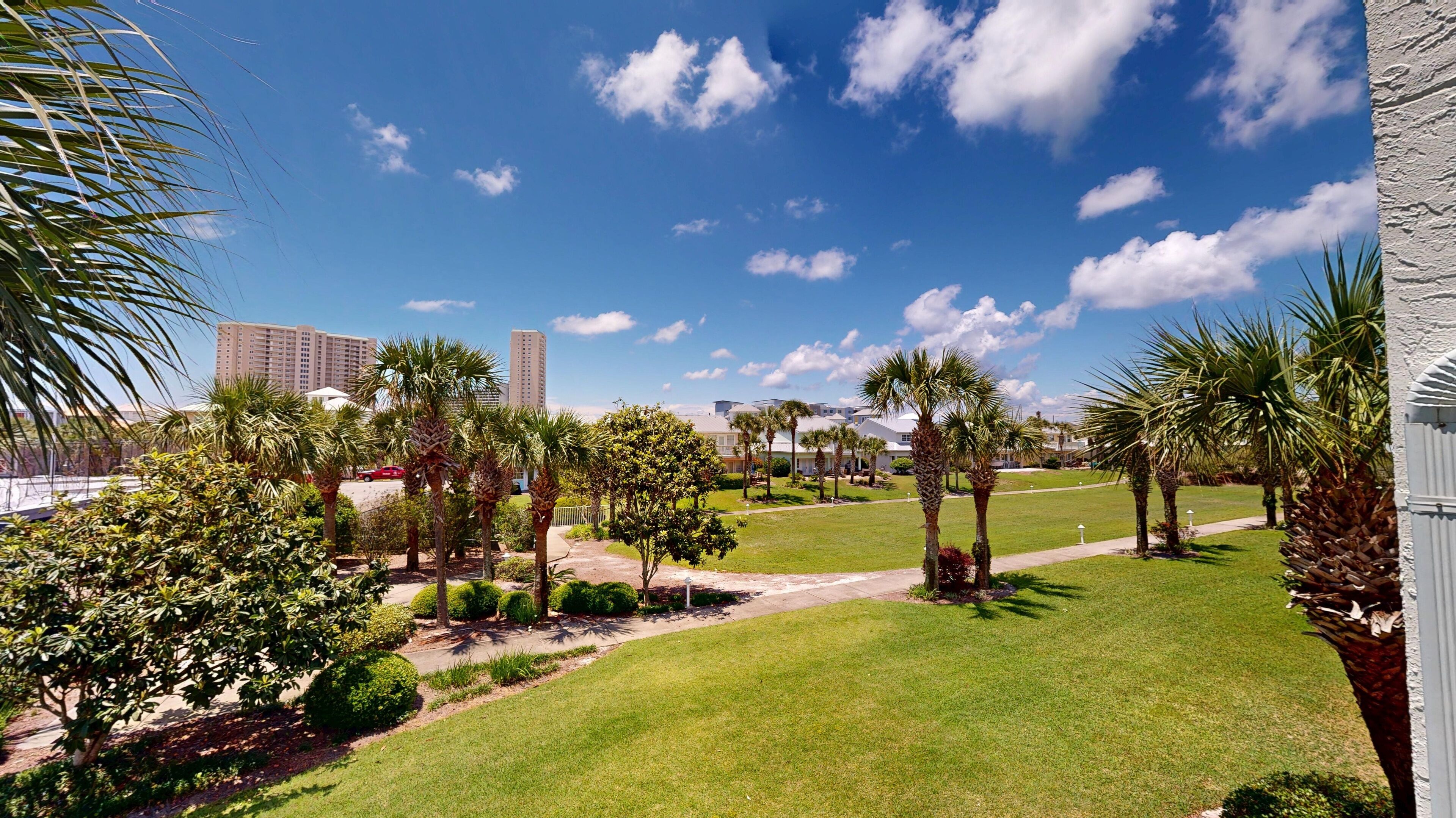 A well-maintained lawn with palm trees and a clear blue sky.