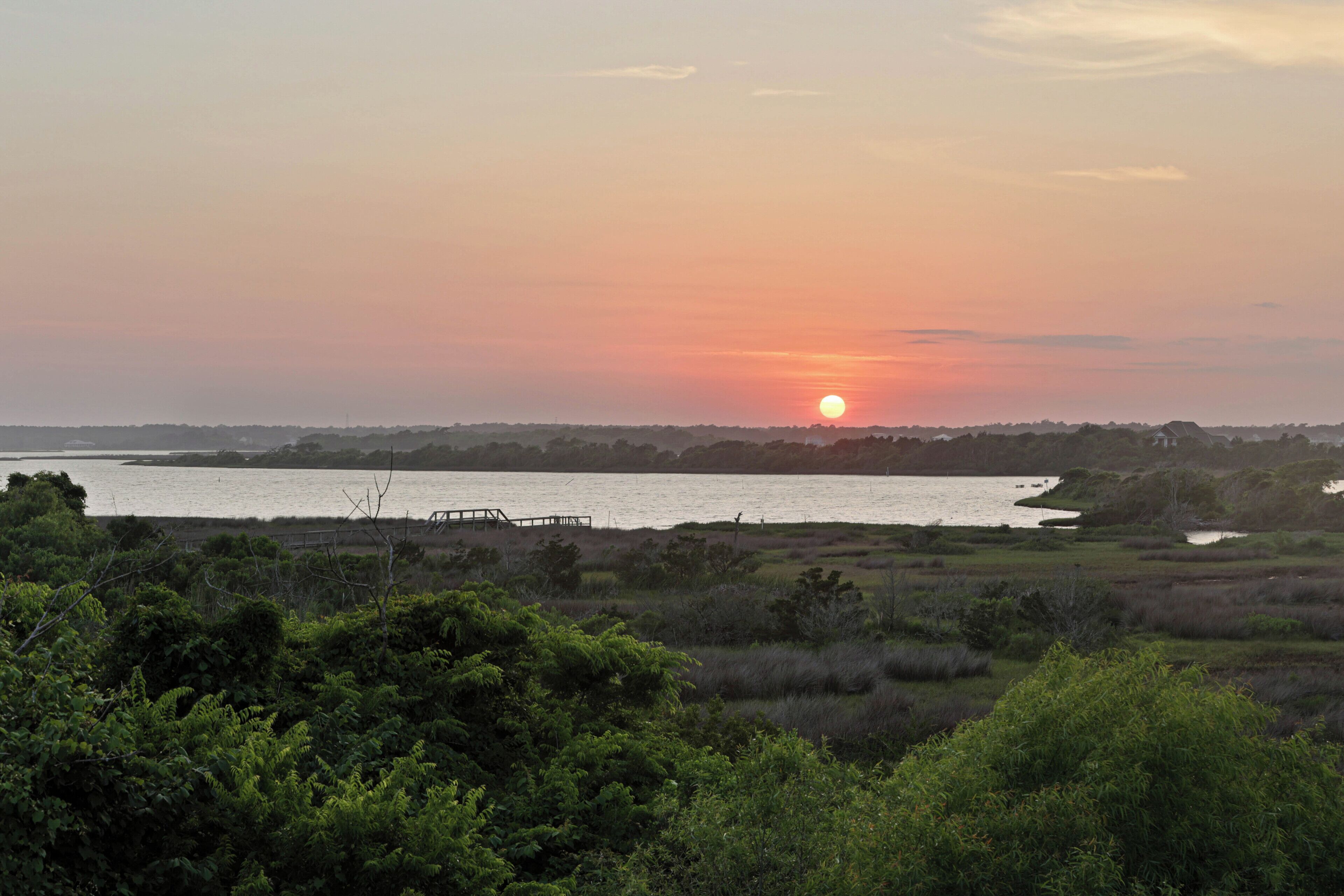 A sunset over a body of water with a dock and dense greenery in the foreground.
