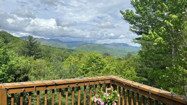 Una terraza de madera con una planta en maceta y vistas a un paisaje montañoso.