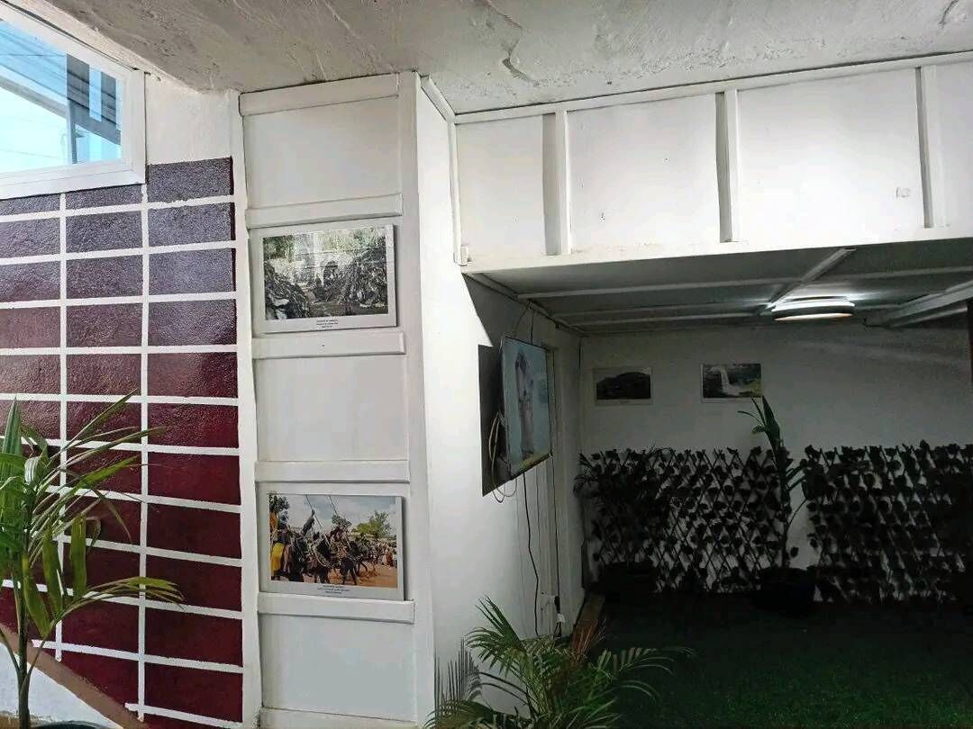 Habitación básica doble | Terraza o patio