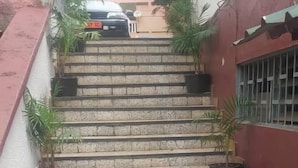 Een trap met potplanten op iedere trede, leidend naar een gebouw ingang.