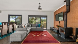 Smart TV, fireplace, books