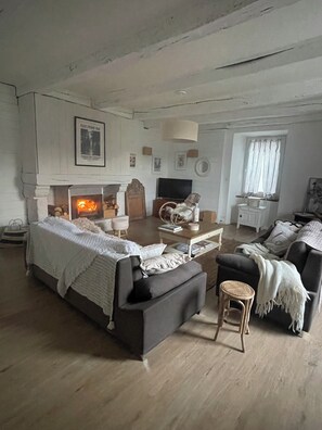 Fireplace - Large charming house in the heart of nature (Fontrieu)