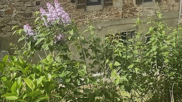 DĂ©tail de lâextĂ©rieur