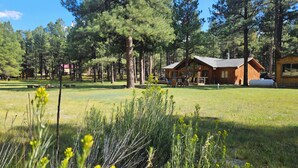 A lodge with a wooden exterior, surrounded by tall pine trees and a grassy field. - Welcome to Cozy Doo's Casa -A Warm, Woodsy Getaway in Angel Fire, NM (Angel Fire)