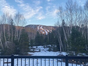 Property grounds - Chalet in the heart of the mountains - 800m from Mont Edouard; 10km from the Saguenay Fjord (L'Anse-Saint-Jean)