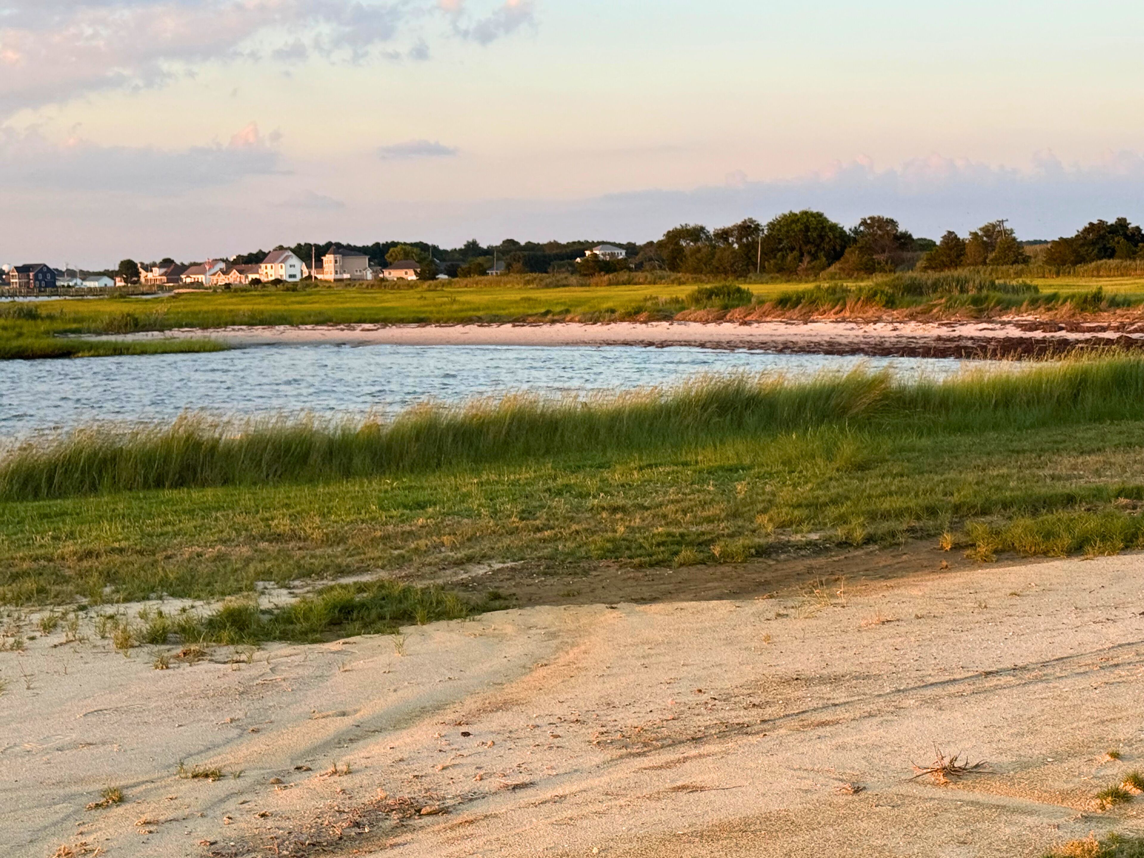 A riverside view with a sandy beach, grassy areas, and houses in the background.