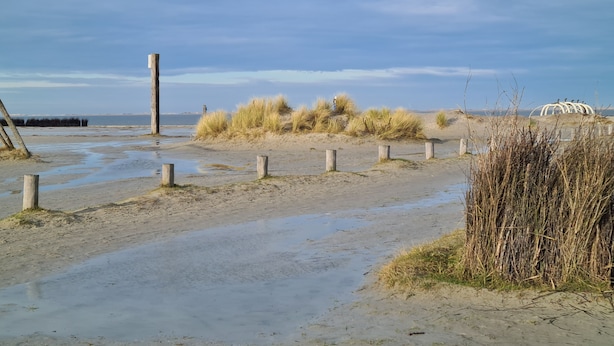 Una playa arenosa con postes de madera, dunas cubiertas de hierba y cielo despejado.