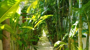 A narrow pathway flanked by tall bamboo plants and broad-leafed tropical vegetation, leading through a lush green environment.