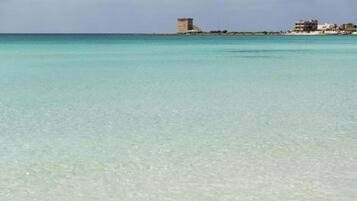 Apartment, 2 Bedrooms, Smoking | Beach