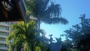 Un camino pavimentado que conduce a un edificio con jardín cercado, palmeras y cielo azul despejado.