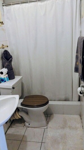 Ein Badezimmer mit Toilette, Waschbecken und Duschvorhang.