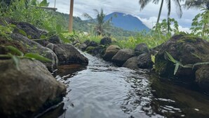 Un cours d’eau qui serpente à travers un paysage rocheux, bordé de palmiers, avec une montagne en arrière-plan.