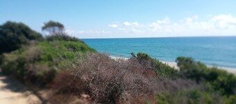 Accommodation on a farm in the heart of the Corsican scrubland