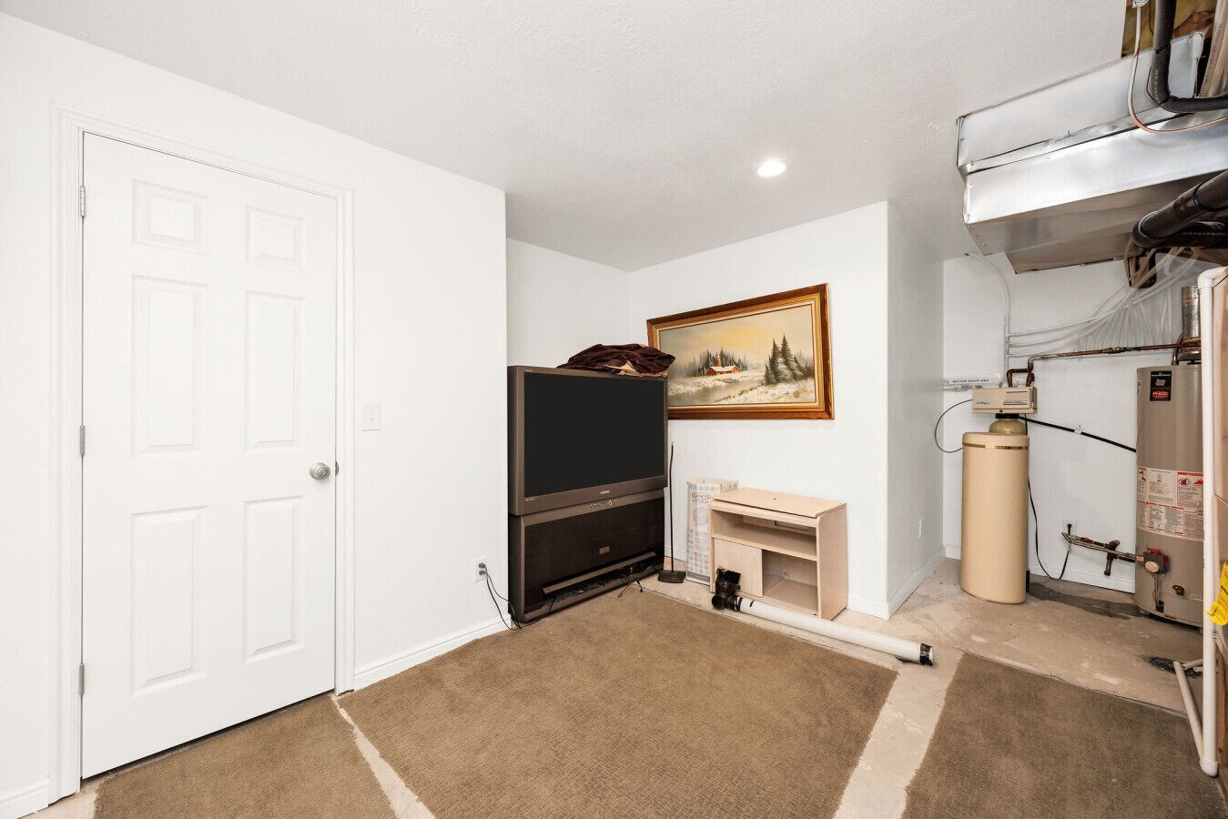 A room with a white door, a flat-screen TV, a fireplace, a painting, and a water heater.