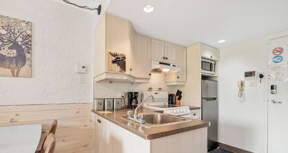 LOFT de la montagne- MSA