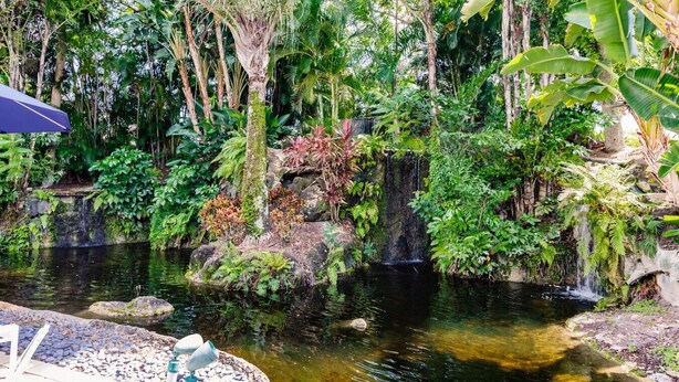 A tranquil garden with a pond, lush greenery, and a small waterfall. - Park Shore Resort BLDG I #453-Great views (Naples)