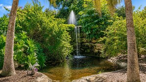 Una fuente natural rodeada de abundante vegetación y árboles.