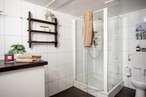 Shower, hair dryer