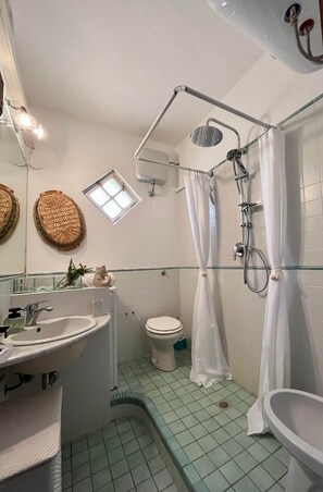 Shower, bidet, soap, toilet paper