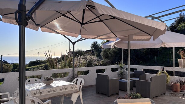 Une terrasse extérieure avec une table et des chaises, des parasols et des plantes en pot.