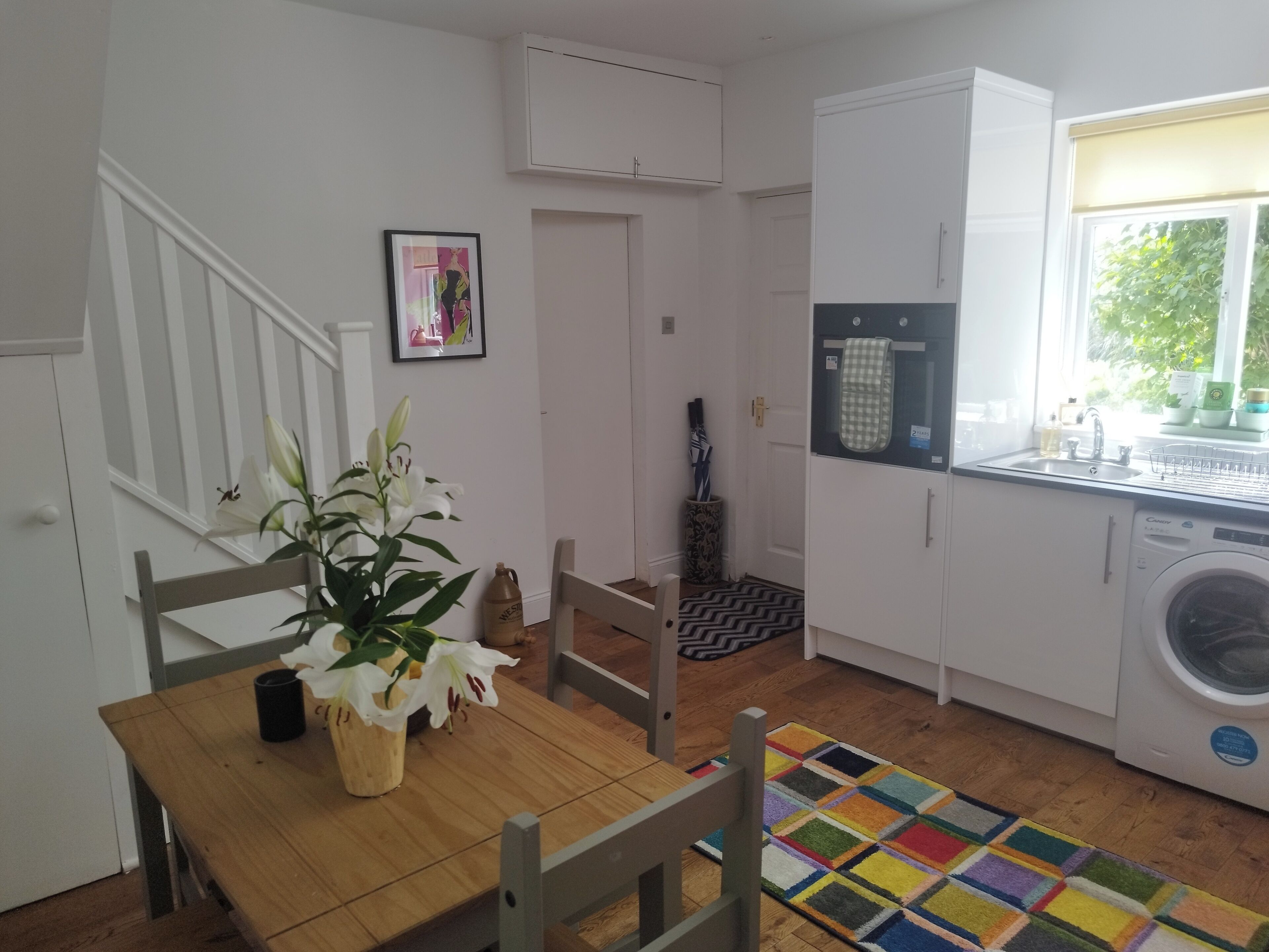 Une cuisine compacte comprenant un lave-linge, une table à manger avec des chaises, une plante en pot et un tapis coloré.