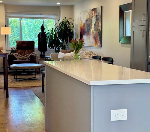 Modern 1-bedroom condo on Pearl Street, WiFi, AC, parking