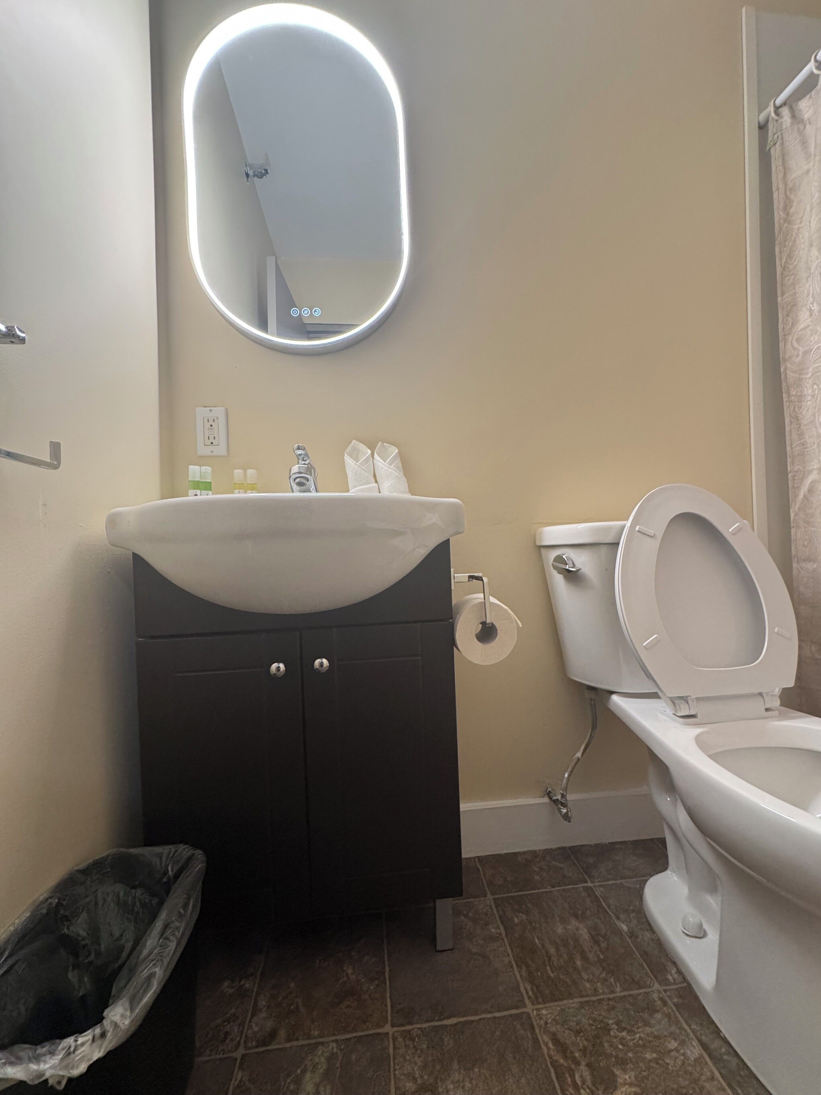 A bathroom with a white sink, a mirror with a light, a toilet, and a trash bin.