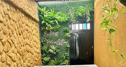 eco hotel palma É coco
