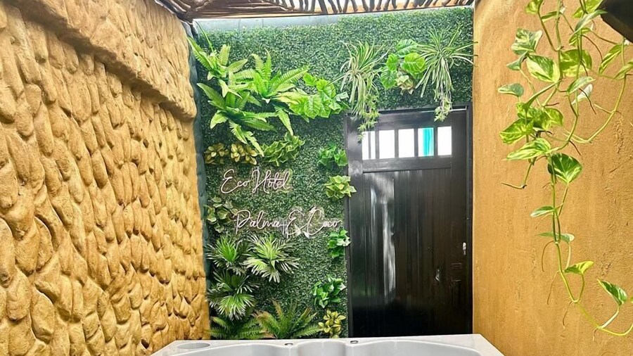 eco hotel palma É coco