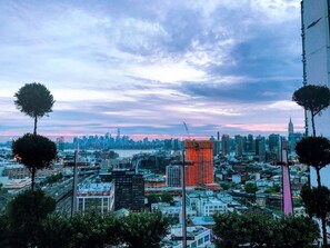 Vista desde la propiedad