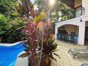 Alberca al aire libre 