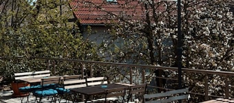 Comfortable apartment near the water with its own bar.