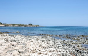 Pêche sur place